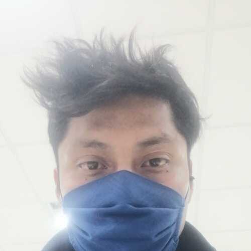 pandis453