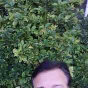 sergiodedomin455
