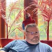 wildandy