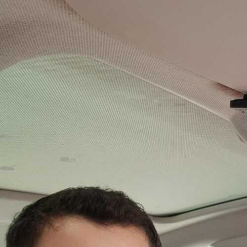 alonzoran240