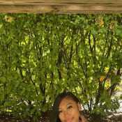 KDBABE