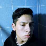 fari