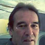 bisporus