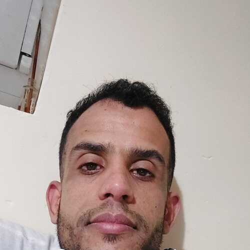 hafidett681