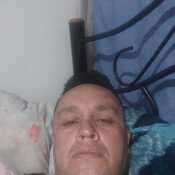 aloj686