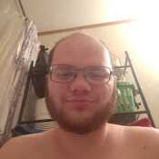 nollandfowl457