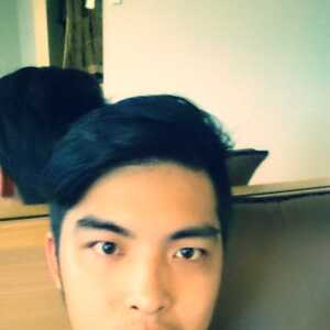 chenvincdec