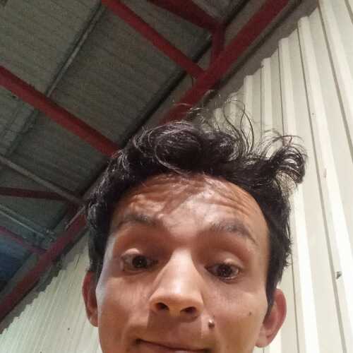 Elvini28