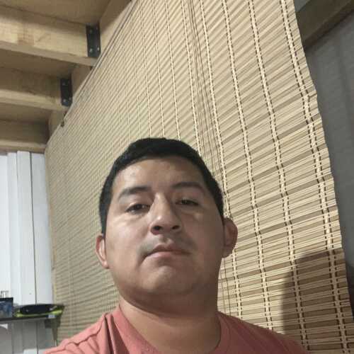 ginocotr345