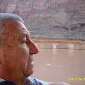 betofi