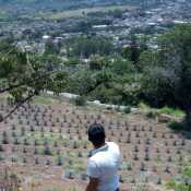 ParejaCalienteTequila