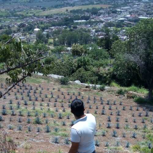 ParejaCalienteTequila