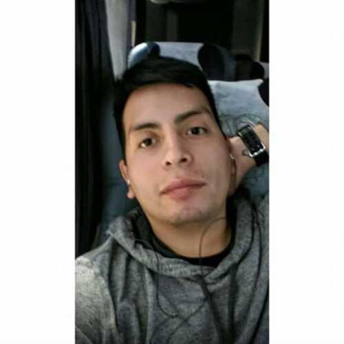 Brunocatt