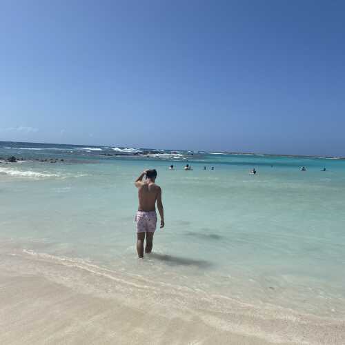 Andres