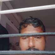 seno974