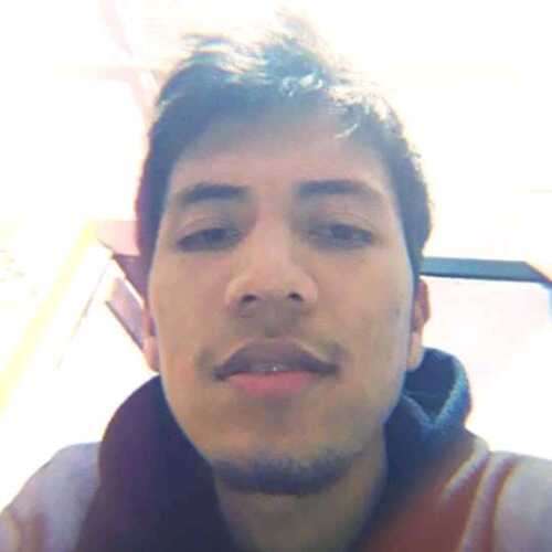 bryanpalmadema335