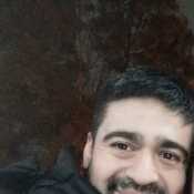 dima299