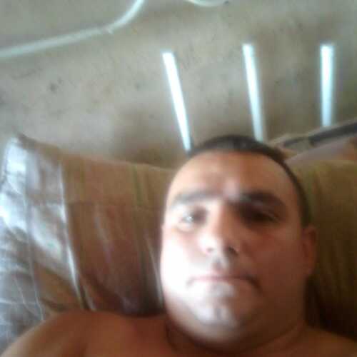 franciscomere471