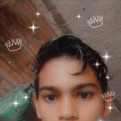 Shavid