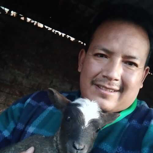 jorgezambranahida884