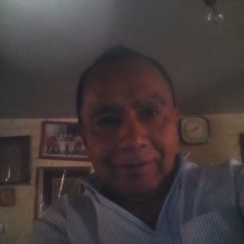 arizf509