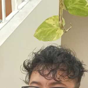 bjfehcebaeajecag