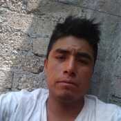 delfinovela719