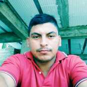 omaranguloarbi256