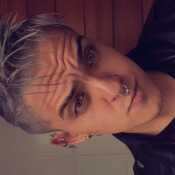 Dikter2429