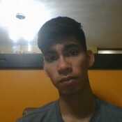 saulo1335
