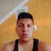 bviperQuito