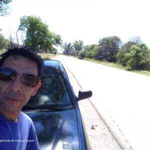 simoncort146