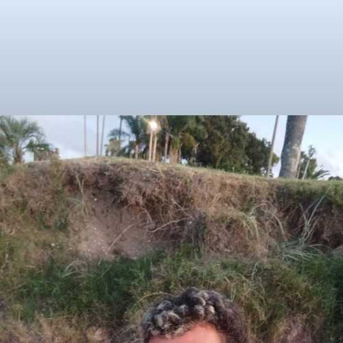 Tavo