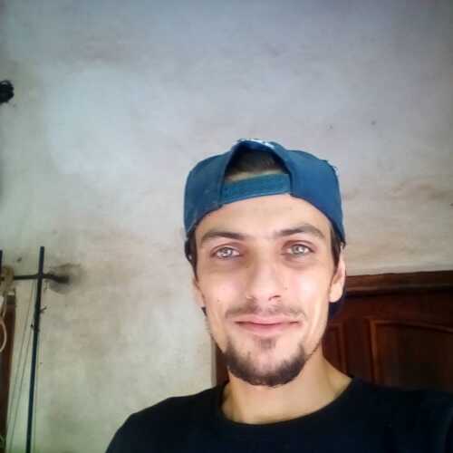 reni741