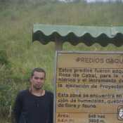 lucumimanchas