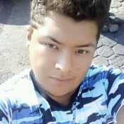 danielesco178