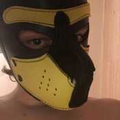 Puppymadrid