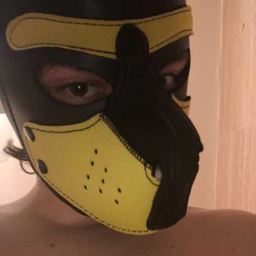 Puppymadrid