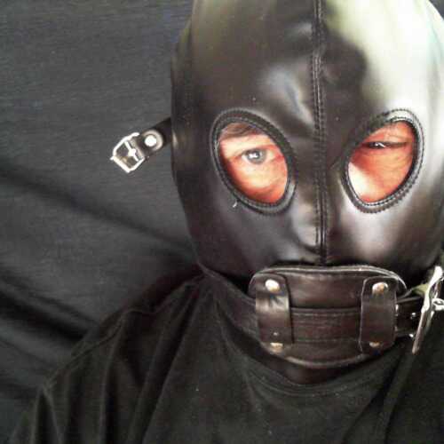 bdsm4629