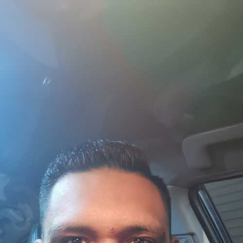 roybrom522