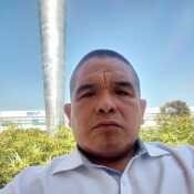 Lobo 33