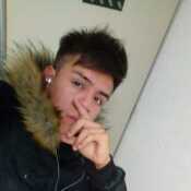 cris498