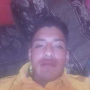 Pedro0742