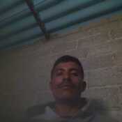 Spocc