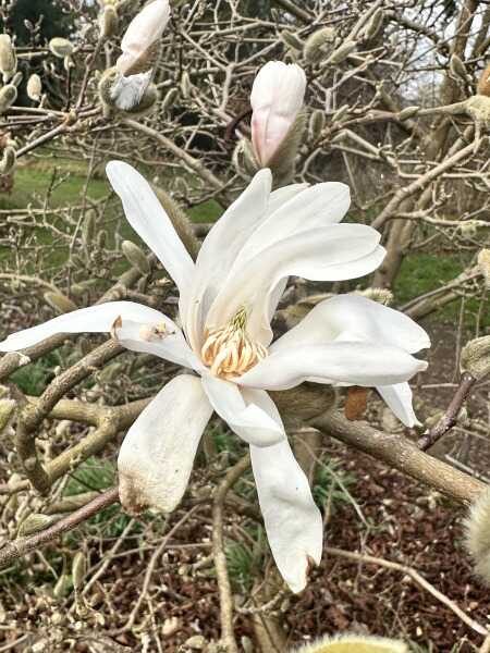 Friendsthatplay profile photo