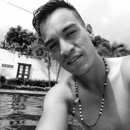 Nestor236