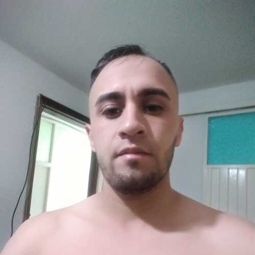 shav563