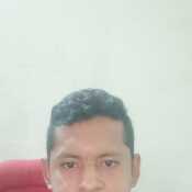elmast775