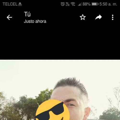 Dandy9519
