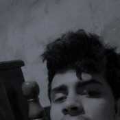 Olivasste656